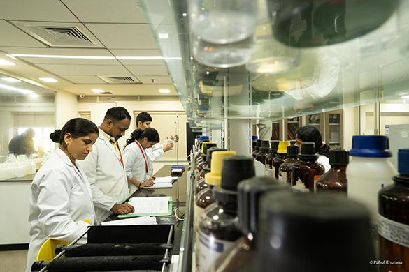 Veterinarian with a dog