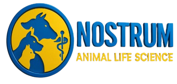 Nostrum Logo