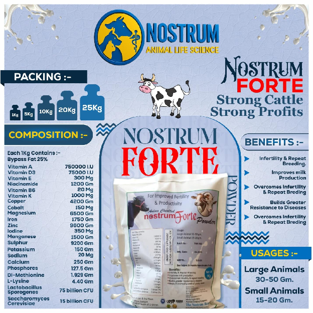 NOSTRUM FORTE image